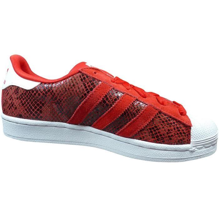 superstar crocodile bordeaux