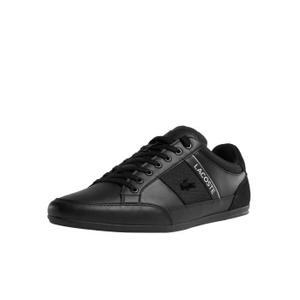 cdiscount basket lacoste homme
